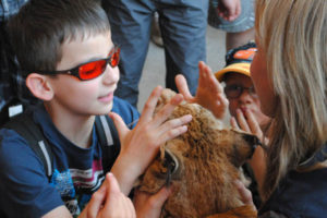 Fühförderkinder im Alpenzoo