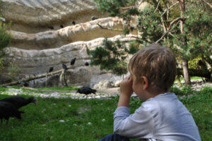 Kind beobachtet mit Monokular die Vögel
