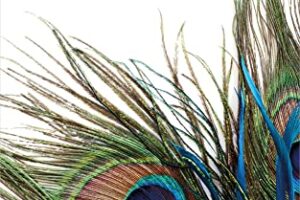 Das Buch „Die Wundersammlerin“ 